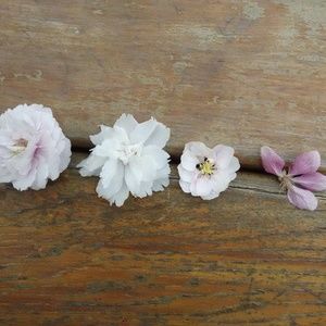 Meet your Posher, Rita